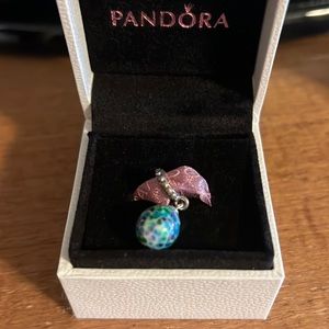 Pandora charm